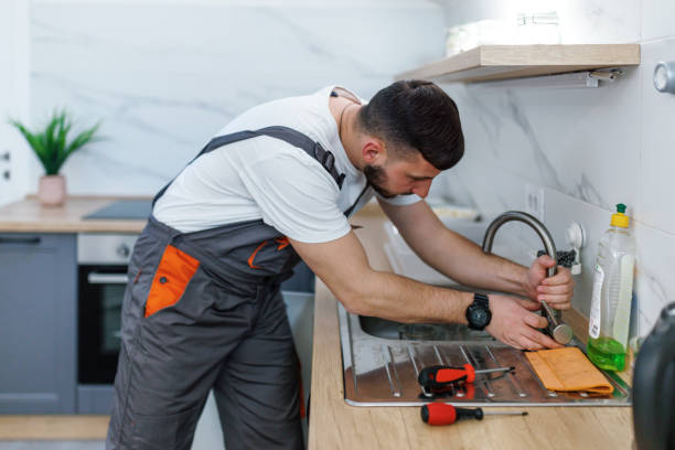 Best Water Heater Repair  in Brownlee Park, MI