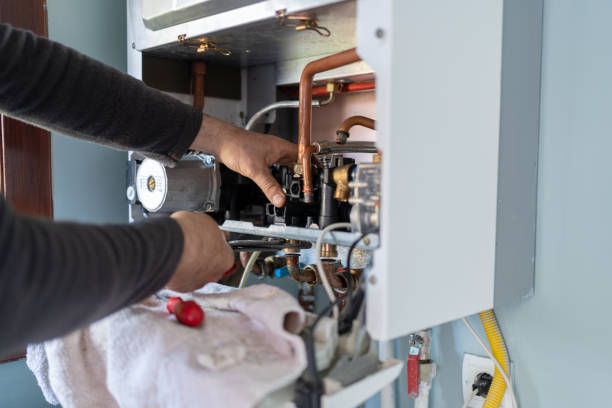 Best Clogged Drain Plumber  in Brownlee Park, MI